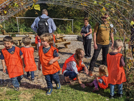 Kindergarten students wearing orange vests picking beans in a school garden.